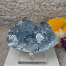 Load image into Gallery viewer, Top-Grade Celestite Specimen Display (Madagascar) – 顶级马达加斯加天青石标本摆件
