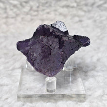 Load image into Gallery viewer, Purple Fluorite Specimen – Clarity, Protection &amp; Spiritual Insight
