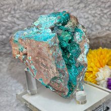 Load image into Gallery viewer, Dioptase with Malachite, Shattuckite &amp; Chrysocolla Specimen (Congo) – 刚果翠铜矿共生孔雀石、蓝铜矿与蓝铜矿石矿标
