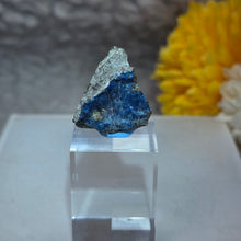 Load image into Gallery viewer, Blue Aerinite Specimen Display (Spain) – 西班牙蓝纤石标本摆件
