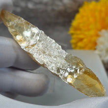 Load image into Gallery viewer, Golden Selenite Specimen Display (Turkey) – 土耳其金色透石膏标本摆件
