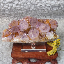 Load image into Gallery viewer, Spirit Quartz with Citrine Cluster Display – 仙人掌水晶伴黄水晶簇摆件
