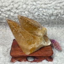 Load image into Gallery viewer, Golden Dogtooth Calcite Display – 金色犬牙方解石摆件
