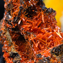 Load image into Gallery viewer, Crocoite Mineral Specimen Display – Dundas, Tasmania, Australia | 红铅矿天然矿物标本摆件
