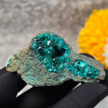 Load image into Gallery viewer, Dioptase Specimen (Congo) – 刚果翠铜矿矿标
