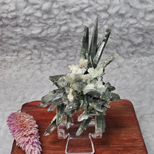 Load image into Gallery viewer, Green Phantom Quartz Cluster from Nepal
