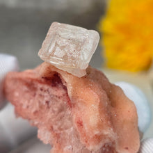 Load image into Gallery viewer, Pink Halite Specimen Display (California) – 加州粉红岩盐矿物标本摆件
