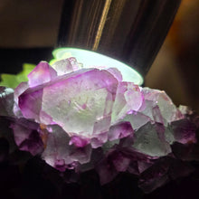 Load image into Gallery viewer, Purple &amp; Green Bi-Tone Fluorite Display – 紫绿双色萤石摆件
