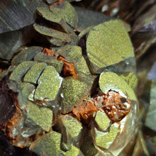 Load image into Gallery viewer, Nail Head Calcite with Siderite &amp; Red Hematite Display – 钉头方解石共生菱铁矿赤铁矿摆件
