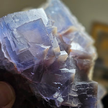 Load image into Gallery viewer, Blue Fluorite Display (Pakistan) – 巴基斯坦蓝萤石矿物摆件
