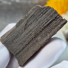 Load image into Gallery viewer, German Druzy Petrified Wood Display – Ancient Fossil Wood Specimen – 德国晶洞木化石远古化石标本
