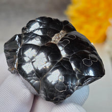 Load image into Gallery viewer, Botryoidal Hematite Specimen Display (Morocco) – 摩洛哥葡萄状赤铁矿标本摆件
