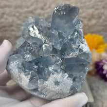 Load image into Gallery viewer, Top-Grade Celestite Specimen Display (Madagascar) – 顶级马达加斯加天青石标本摆件
