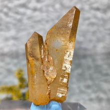 Load image into Gallery viewer, Golden Healer Quartz from Arkansas – High Clarity Healing Crystal
