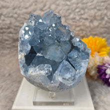 Load image into Gallery viewer, Top-Grade Celestite Specimen Display (Madagascar) – 顶级马达加斯加天青石标本摆件
