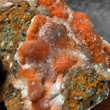 Load image into Gallery viewer, Thomsonite with Mesolite Specimen (India) – 印度托姆森石伴中沸石矿物标本
