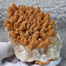 Load image into Gallery viewer, Clear Dogtooth Calcite with Brown Calcite (Secondary Growth) Specimen – 透明犬牙方解石伴褐色次生方解石标本
