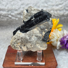 Load image into Gallery viewer, Raw Black Tourmaline in Quartz Specimen Display – 黑碧玺共生石英原矿摆件
