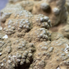 Load image into Gallery viewer, Quartz with Calcite &amp; Actinolite Cluster (Madan Ore Field, Smolyan Province, Bulgaria) – 保加利亚马丹矿区石英方解石阳起石共生晶簇
