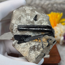 Load image into Gallery viewer, Raw Black Tourmaline in Quartz Specimen Display – 黑碧玺共生石英原矿摆件
