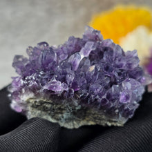 Load image into Gallery viewer, Amethyst Cluster Specimen (Bulgaria) – 保加利亚紫水晶簇矿标
