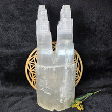 Load image into Gallery viewer, Raw Twin Selenite Tower Display (30cm) – 透石膏双峰能量柱摆件
