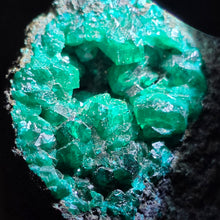 Load image into Gallery viewer, Dioptase Specimen (Congo) – 刚果翠铜矿矿标
