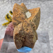 Load image into Gallery viewer, Glendonite – Earth Wisdom &amp; Grounded Transformation Stone
