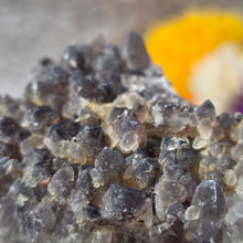 Load image into Gallery viewer, Amethyst Cluster Specimen (Bulgaria) – 保加利亚紫水晶簇矿标
