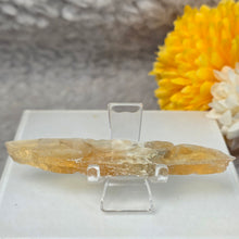 Load image into Gallery viewer, Golden Selenite Specimen Display (Turkey) – 土耳其金色透石膏标本摆件
