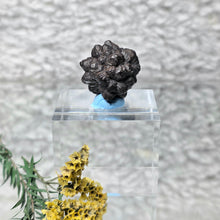 Load image into Gallery viewer, Prophecy Stone from the Sahara Desert – Transformation &amp; Inner Awakening
