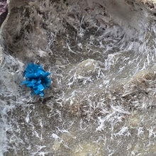 Load image into Gallery viewer, Cavansite – Rare Electric Blue Crystal of Inspiration &amp; Higher Awareness
