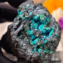 Load image into Gallery viewer, Chrysocolla on Matrix (Planet Mine, Arizona, USA) – 亚利桑那州 Planet Mine 蓝铜矿共生母岩标本
