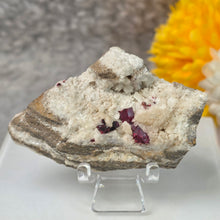 Load image into Gallery viewer, Raw Cinnabar with Dolomite Specimen – 天然朱砂共生白云石矿标
