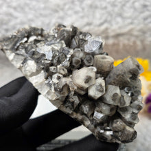 Load image into Gallery viewer, Columnar Calcite Specimen (Fujian, China) – 中国福建柱状方解石矿标
