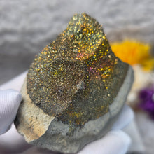Load image into Gallery viewer, Rainbow Pyrite Specimen Display (Russia) – 俄罗斯彩虹黄铁矿标本摆件
