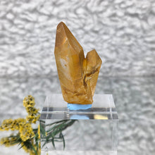 Load image into Gallery viewer, Golden Healer Quartz from Arkansas – High Clarity Healing Crystal
