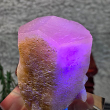 Load image into Gallery viewer, Raw Pink Calcite Pointer – Emotional Healing &amp; Heart Chakra Energy
