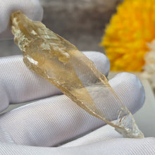 Load image into Gallery viewer, Golden Selenite Specimen Display (Turkey) – 土耳其金色透石膏标本摆件
