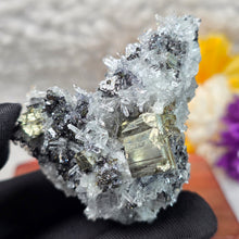 Load image into Gallery viewer, Pyrite with Quartz &amp; Sphalerite Specimen (Bulgaria) – 保加利亚黄铁矿伴生水晶与闪锌矿标本
