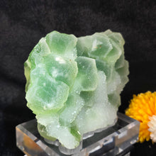 Load image into Gallery viewer, Green Fluorite with Quartz Druzy Display (Hunan, China) – 中国湖南绿色萤石共生石英晶簇摆件
