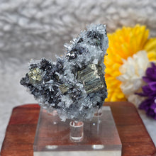 Load image into Gallery viewer, Pyrite with Quartz &amp; Sphalerite Specimen (Bulgaria) – 保加利亚黄铁矿伴生水晶与闪锌矿标本
