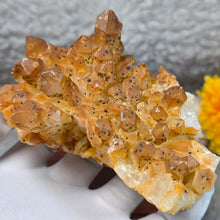 Load image into Gallery viewer, Golden Healer Quartz (Pakistan) – 巴基斯坦金色治愈石英摆件
