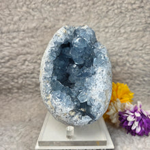 Load image into Gallery viewer, Top-Grade Celestite Specimen Display (Madagascar) – 顶级马达加斯加天青石标本摆件
