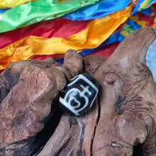 Load image into Gallery viewer, Treasure Vase Dzi Bead – 宝瓶天珠
