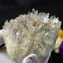 Load image into Gallery viewer, Clear Quartz with Blue Needle Cluster Display (Santander Mine, Colombia) – 哥伦比亚 Santander 蓝针水晶天然石英簇矿物摆件
