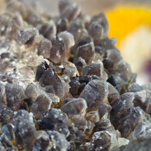 Load image into Gallery viewer, Amethyst Cluster Specimen (Bulgaria) – 保加利亚紫水晶簇矿标
