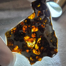 Load image into Gallery viewer, Pallasite Meteorite Slab Display – 橄榄陨石切片摆件
