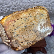 Load image into Gallery viewer, Petrified Wood Display (Madagascar) – 马达加斯加木化石摆件
