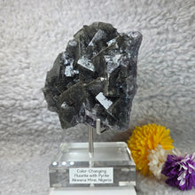 Load image into Gallery viewer, Colour-Changing Fluorite with Pyrite (Nigeria) – 尼日利亚变色萤石共生黄铁矿
